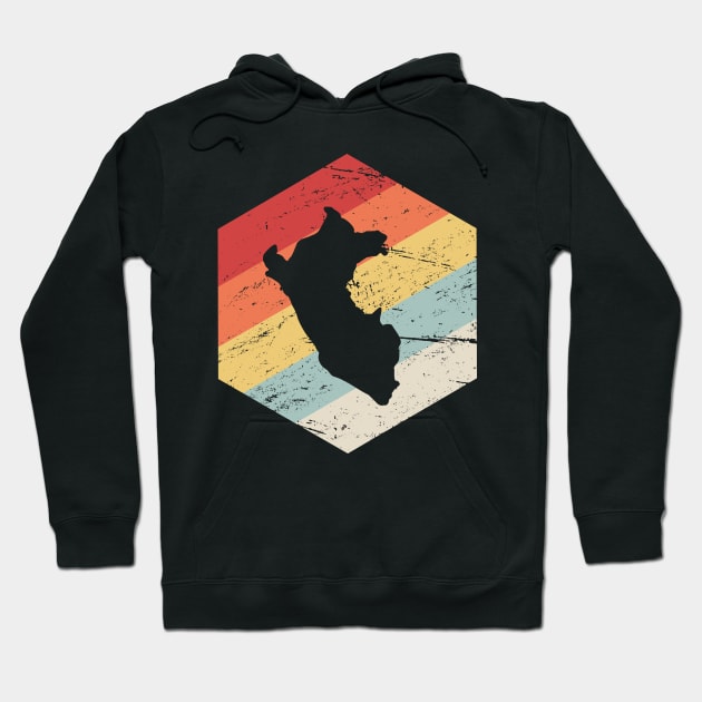 Retro Country Of Peru Hoodie by MeatMan